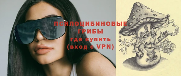 ГАЛЛЮЦИНОГЕННЫЕ ГРИБЫ Тихорецк