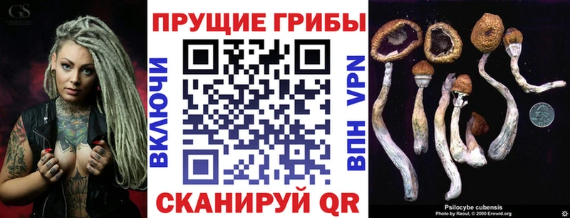 Купить где  Калининец  Галлюциногенные грибы MAGIC MUSHROOMS 