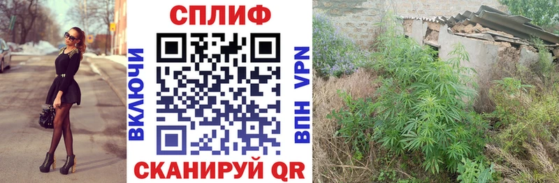 Купить где  Калининец  Бошки марихуана THC 21% 